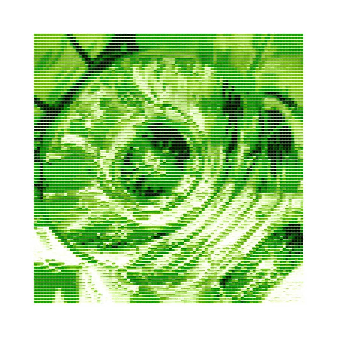 COL 18 | Avail in 2 sizes | Printing Options.